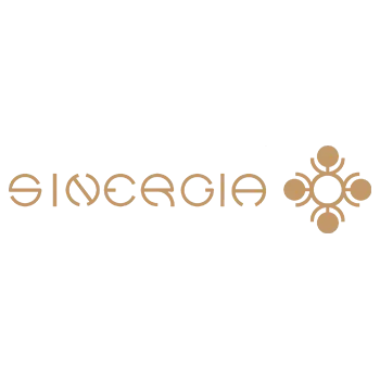 Sinergia Brand - Stellar Process Solutions
